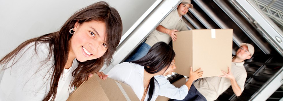 Professional Removalists Pippingarra
